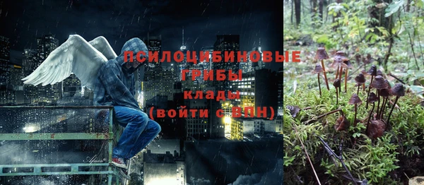 mdpv Новодвинск