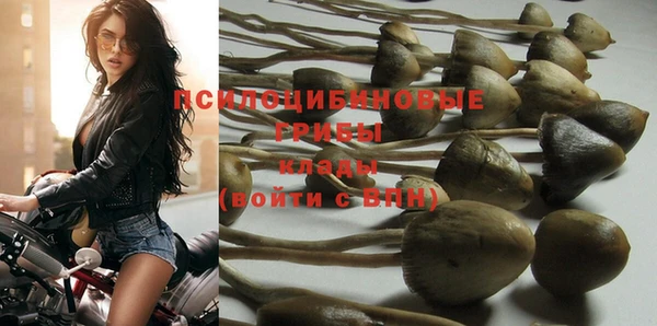 mdpv Новодвинск